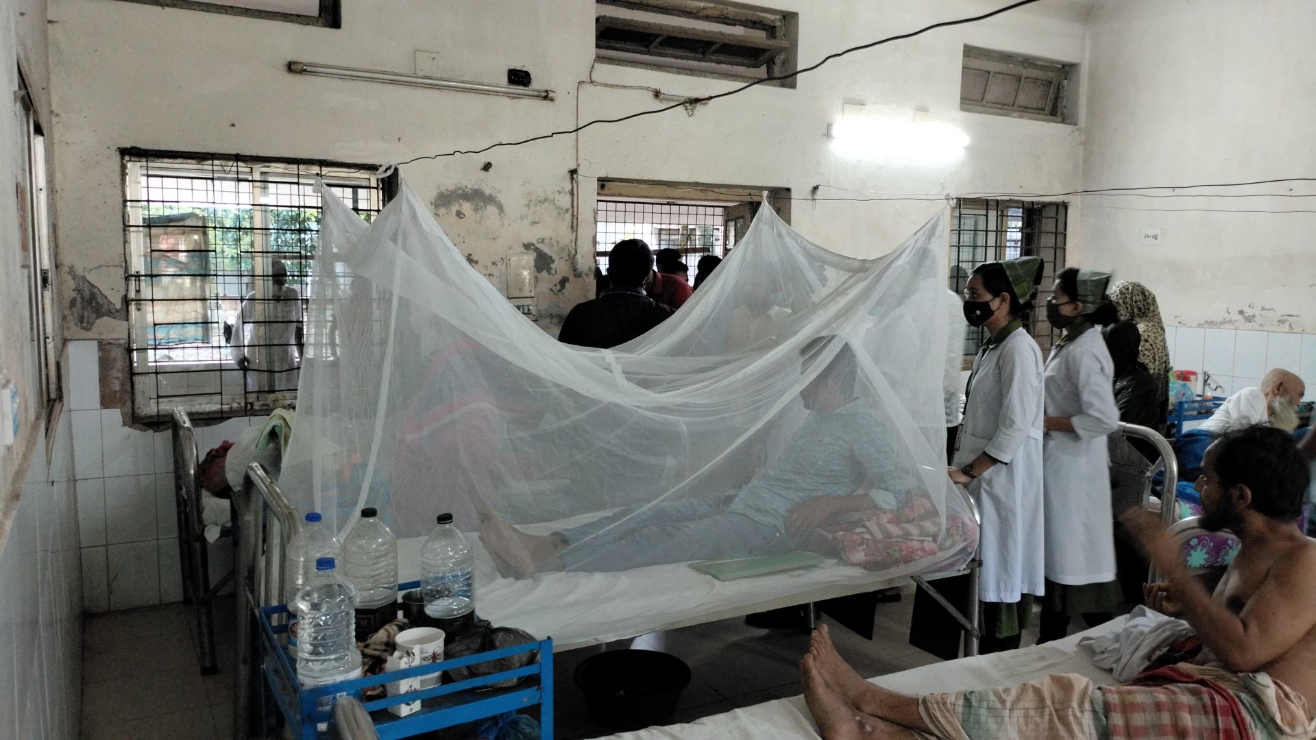 ভোলায় বাড়ছে ডেঙ্গু রোগী, এক সপ্তাহে আক্রান্ত ২১