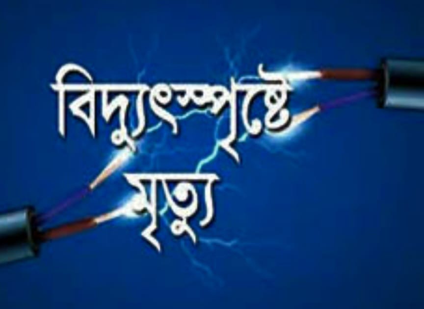 নাজিরপুরে ইদুর মারার তারে বিদ্যুৎস্পৃষ্টে কিশোরের মৃত্যু