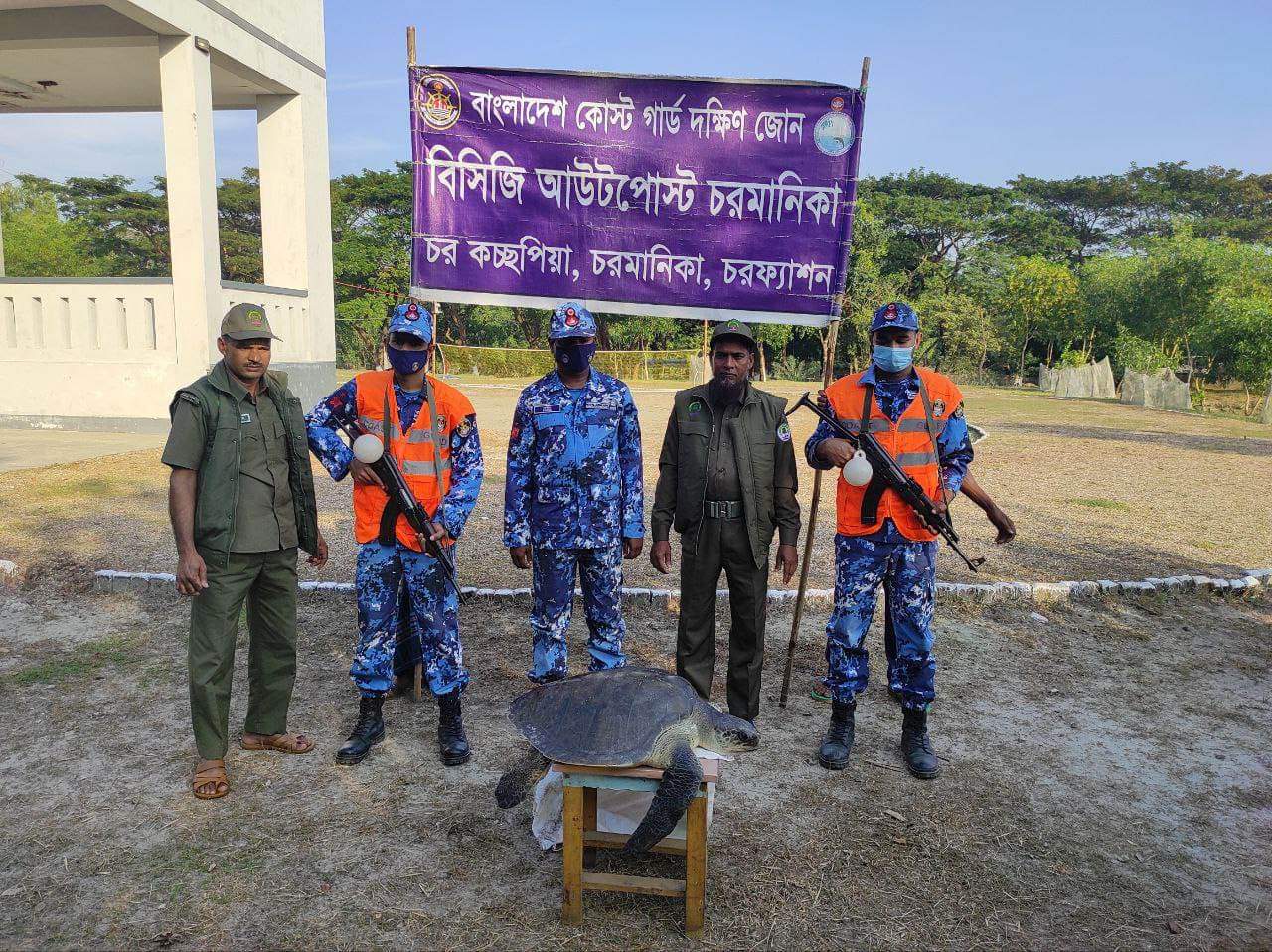 চরফ্যাশনে বিরল প্রজাতির কচ্ছপ উদ্ধার