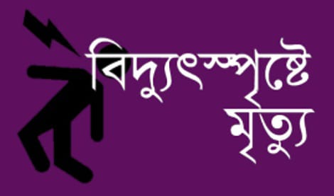 বিদ্যুৎ সংযোগ দিয়ে মাছ শিকার করতে গিয়ে যুবকের মৃত্যু