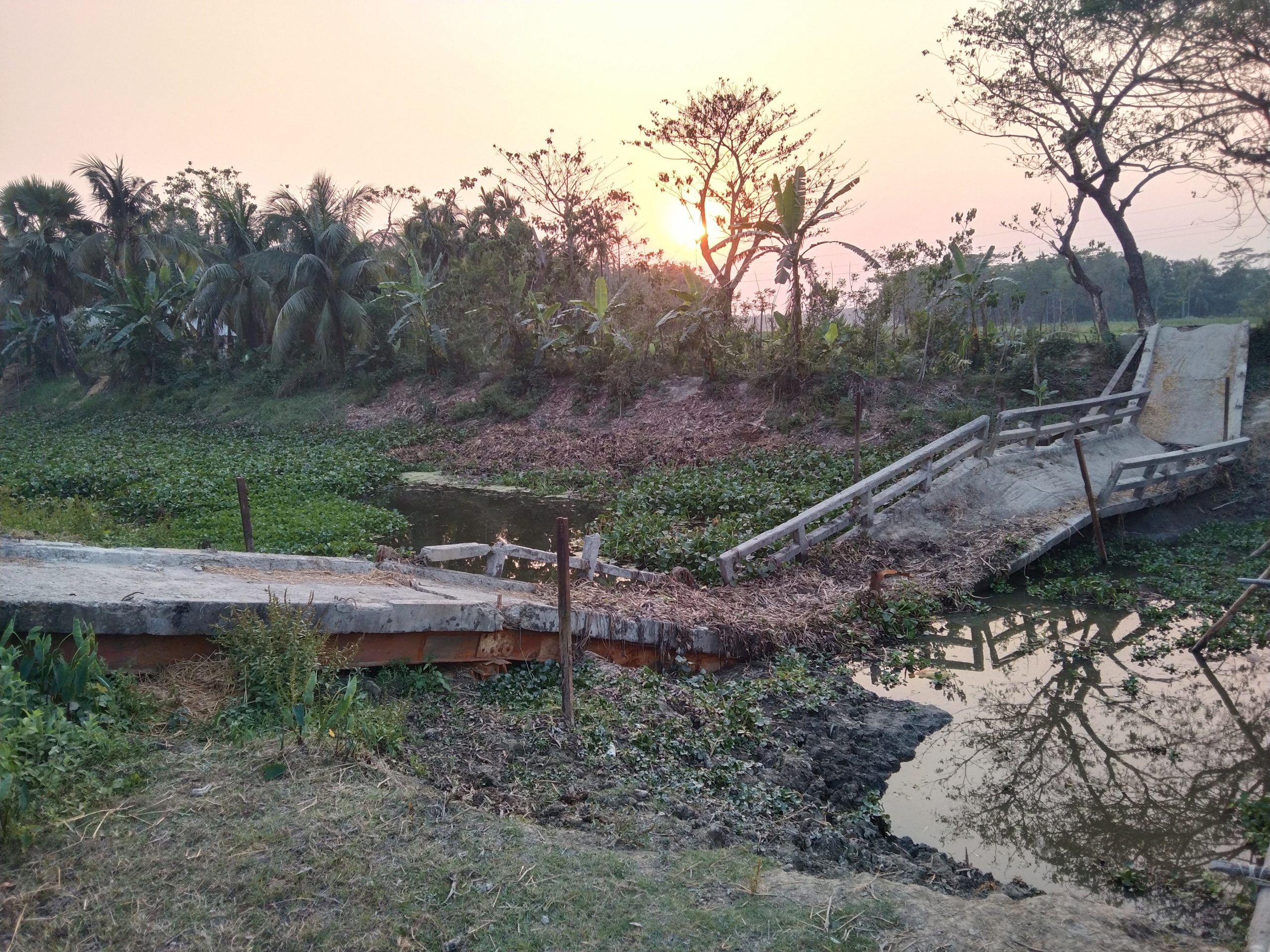 লালমোহনে খালে ব্রিজ ভেঙে পড়ে আছে, দুর্ভোগে দুই পাড়ের এলাকাবাসী