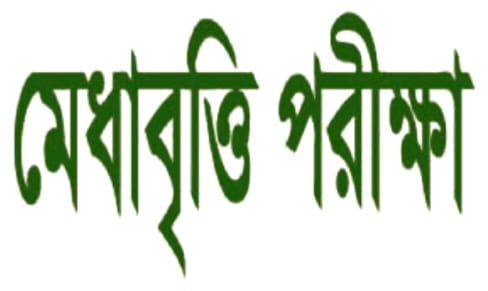 পিরোজপুরে প্রাথমিক বৃত্তির ফল পরিবর্তন নিয়ে তোলপাড়