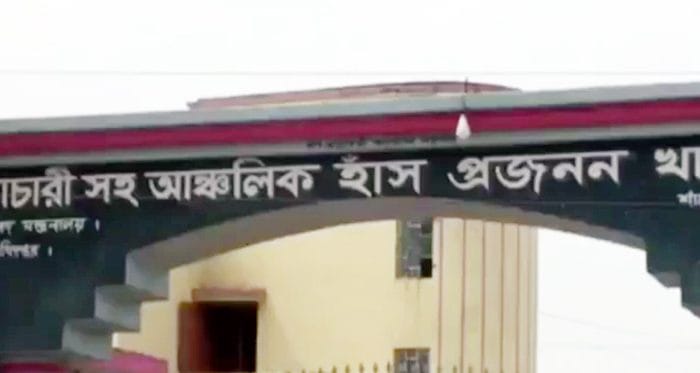 হবিগঞ্জের শায়েস্তাগঞ্জ আঞ্চলিক হাঁস প্রজনন খামারটি চালুর কয়েক বছর পরই বন্ধ