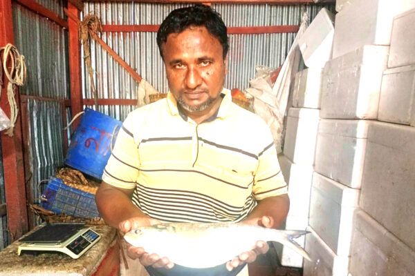 লালমোহনে জেলেদের জালে ধরা পড়ল প্রায় আড়াই কেজির রাজা ইলিশ