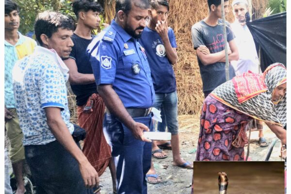 লালমোহনে সাপের কামড়ে নারীর মৃত্যু