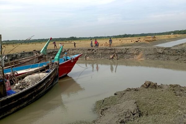 চরফ্যাসনে খালে বাঁধ দিয়ে মাছ চাষ, হুমকির মুখে ৩ হাজার একর ফসলি জমি