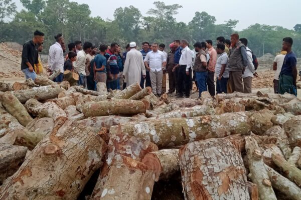 চরফ্যাসনে বনের কাঠ পোড়ানোর দায়ে ইটভাটা মালিককে অর্থদণ্ড