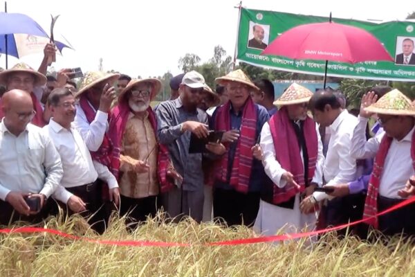 কৃষকরা একসময় ধানের ন্যায্য মূল্যের দাবীতে রাস্তায় আন্দোলন করতো-কৃষিমন্ত্রী