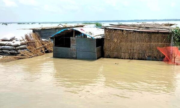 টাঙ্গাইলে বানভাসিদের মানবেতর জীবনযাপন