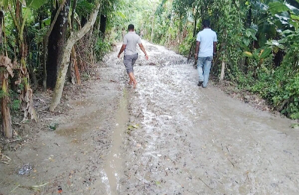 ৫৫৫ কিলোমিটার কাঁচা সড়কগুলো দিয়ে চলাচলে লালমোহন বাসীর সীমাহীন দুর্ভোগ