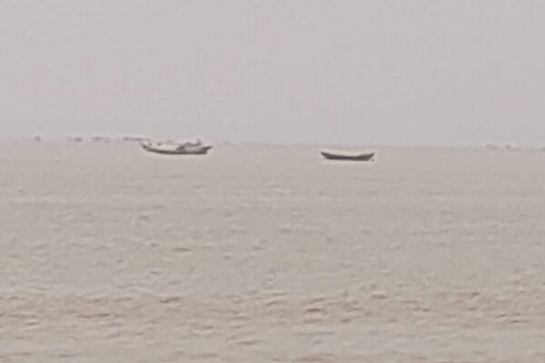 নিষেধাজ্ঞা উপেক্ষা করে মেঘনায় মাছ ধরছে শতশত নৌকা