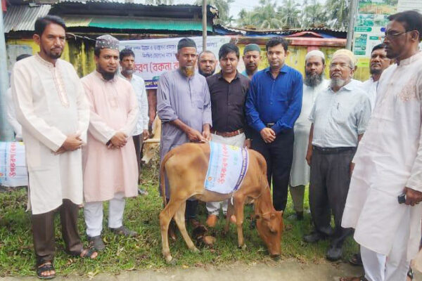 লালমোহনে বকনা বাছুর পেলো মৎস্যজীবীরা