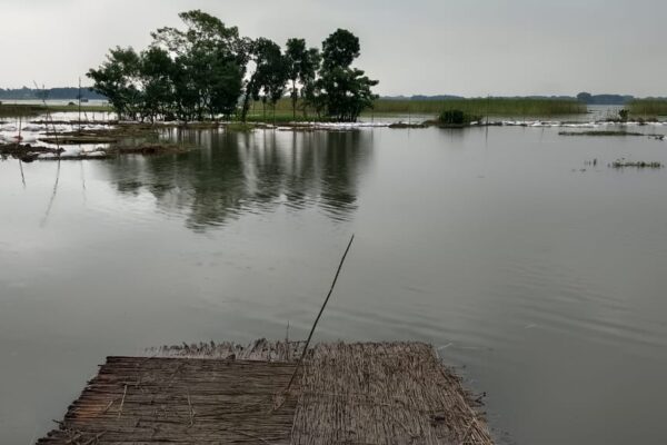 কষ্টের ফসল ডুবেছে পানিতে